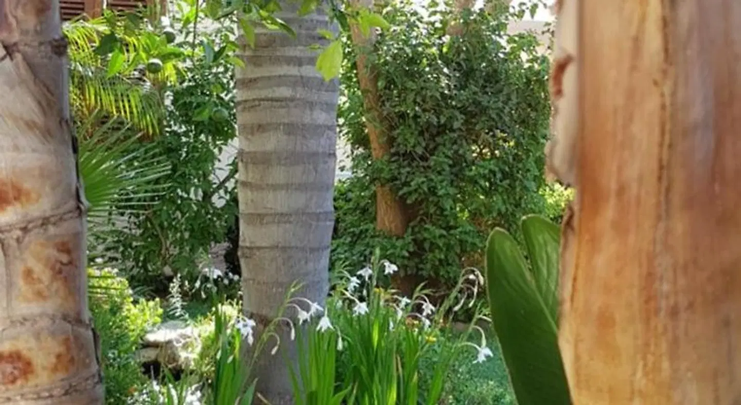 Mariposa Bed And Breakfast Garten