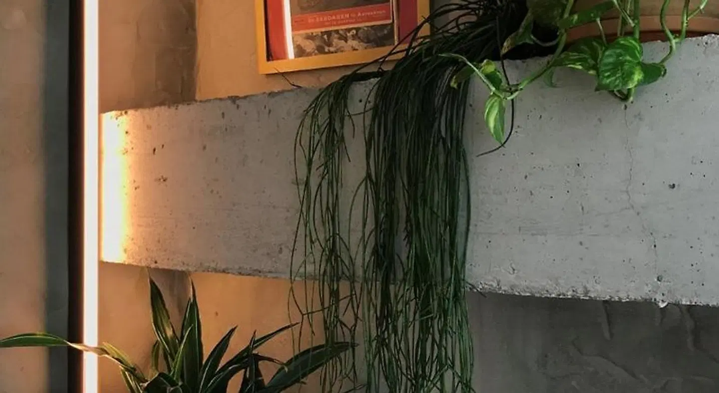 Kook Hotel Tarifa PEOPLE