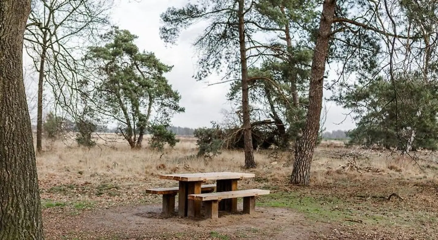 B&B StudioLKE LANDSCAPE