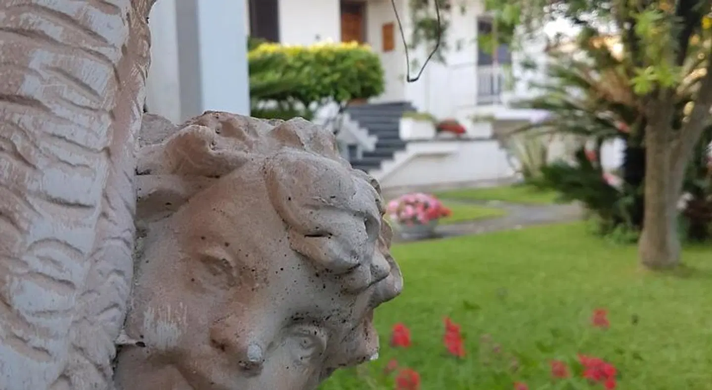 Maison Blanche Tiere