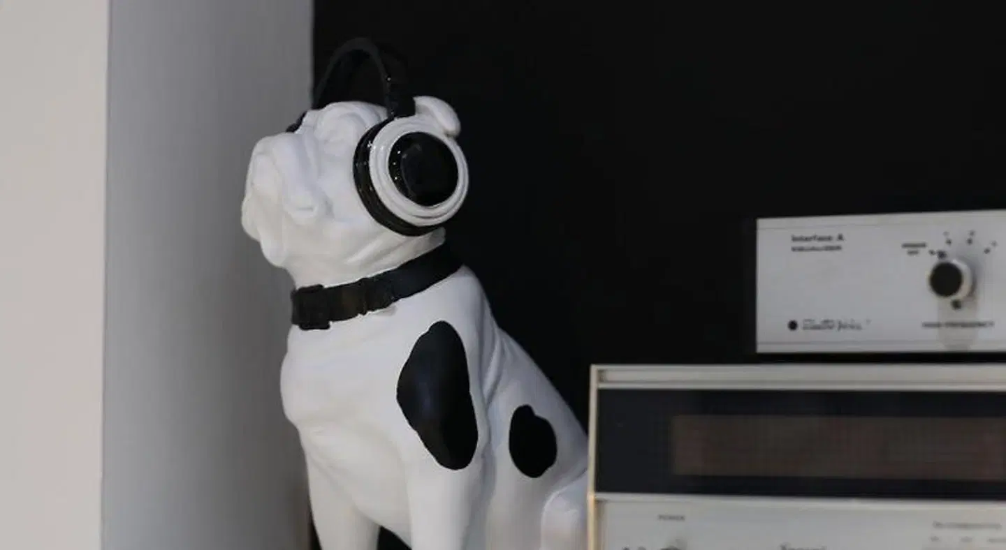 Mila Guest House Tiere