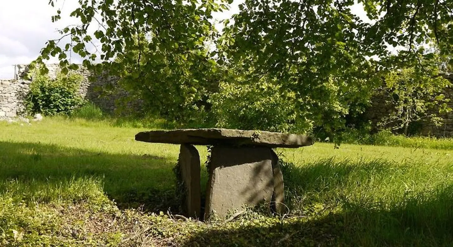 Beechpark House Garten