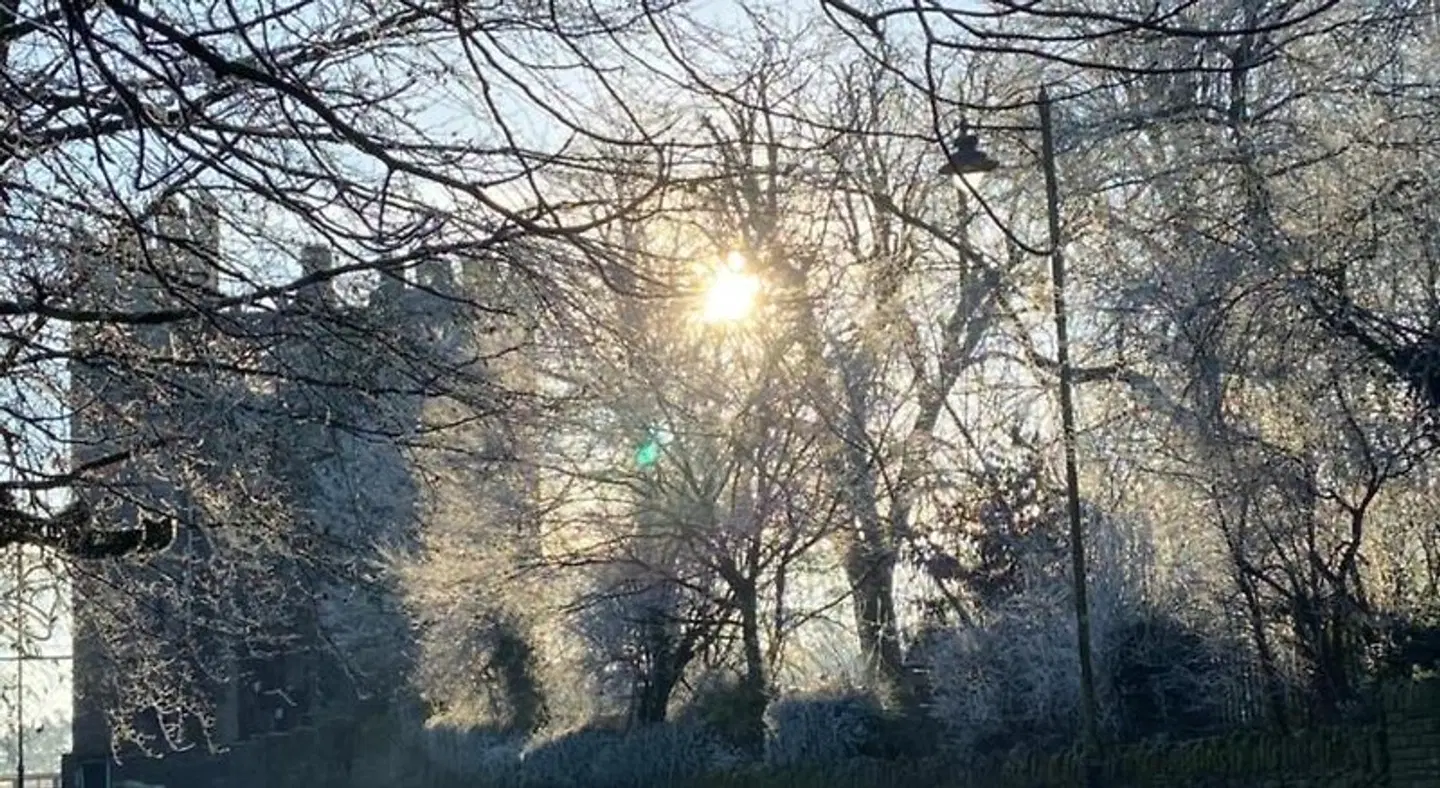 Beechpark House LANDSCAPE