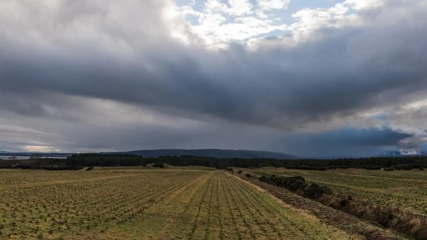 The Steading LANDSCAPE