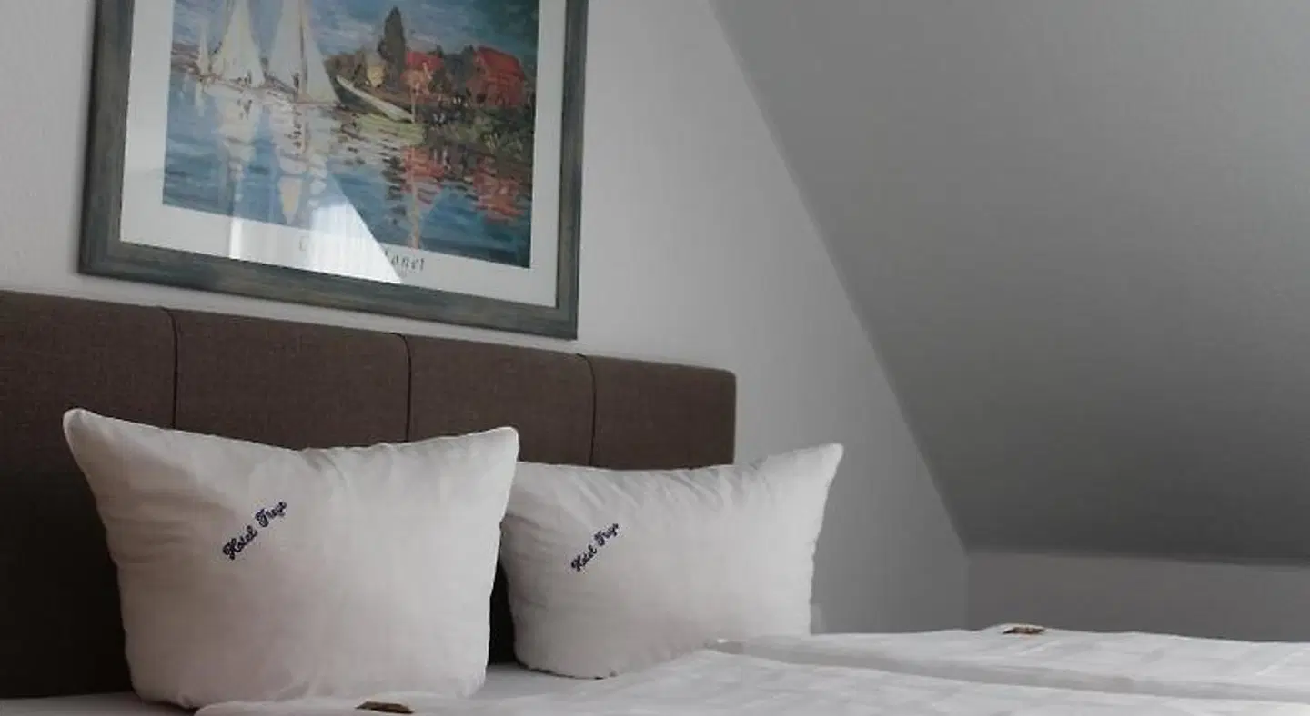 Hotel Freye ROOM_EXAMPLE