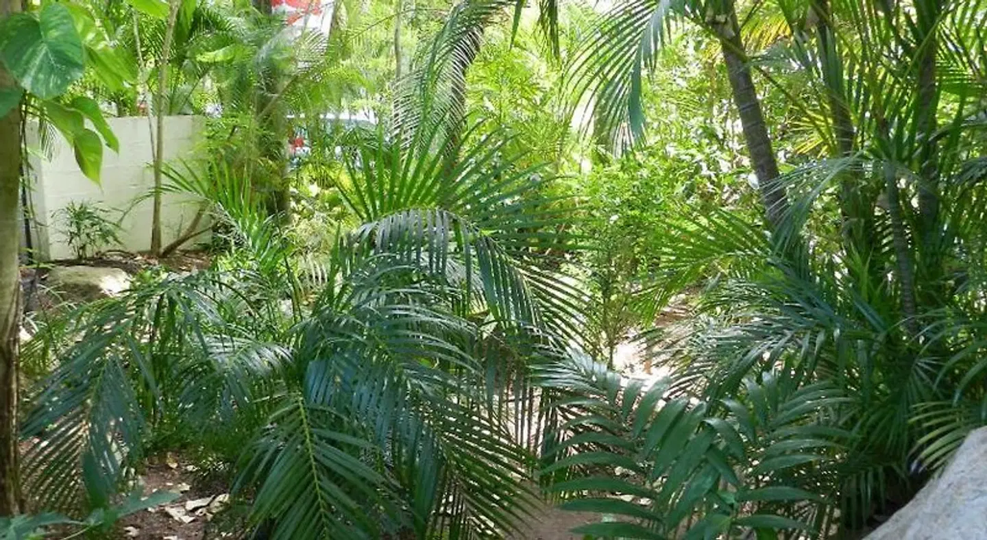 Oskar's Rain Forest Retreat Garten