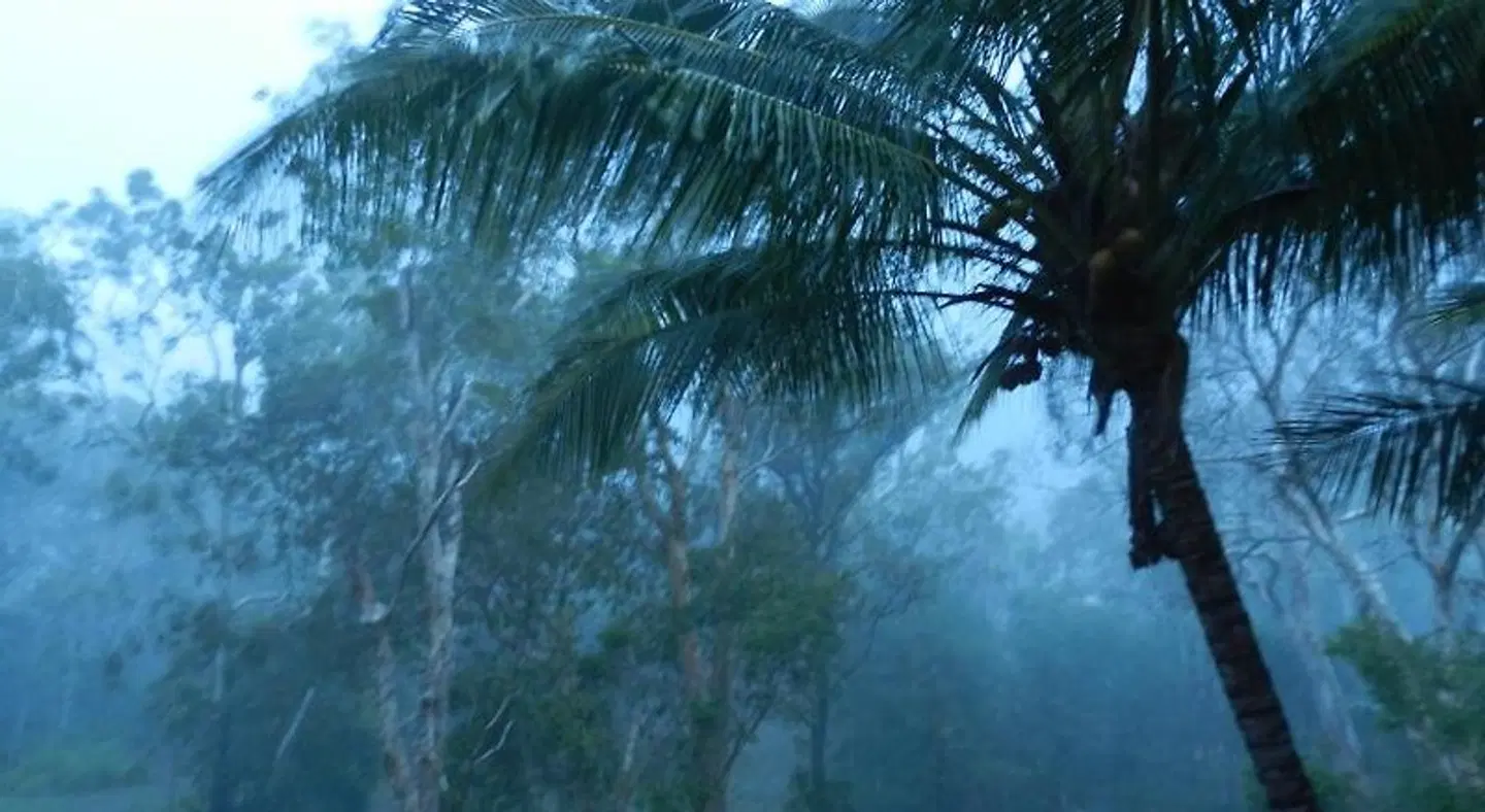 Oskar's Rain Forest Retreat LANDSCAPE