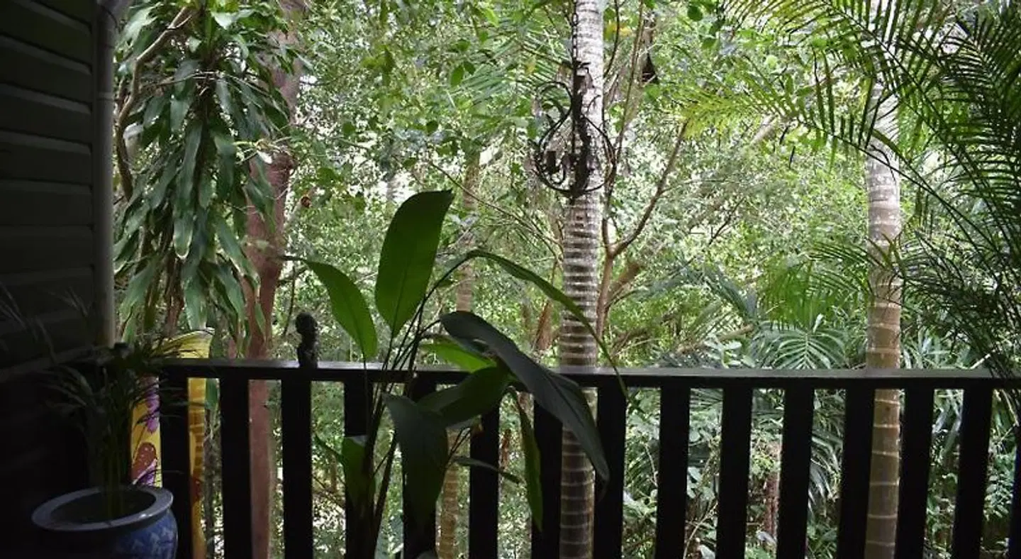 Oskar's Rain Forest Retreat LANDSCAPE