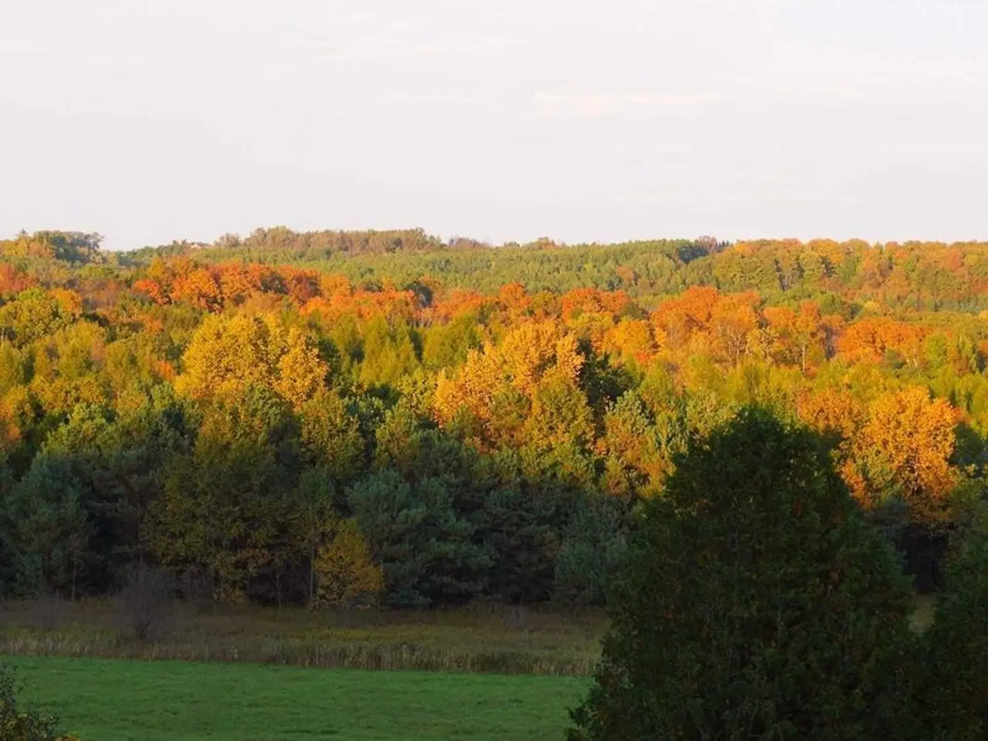 Our Valley View Bed & Breakfast LANDSCAPE