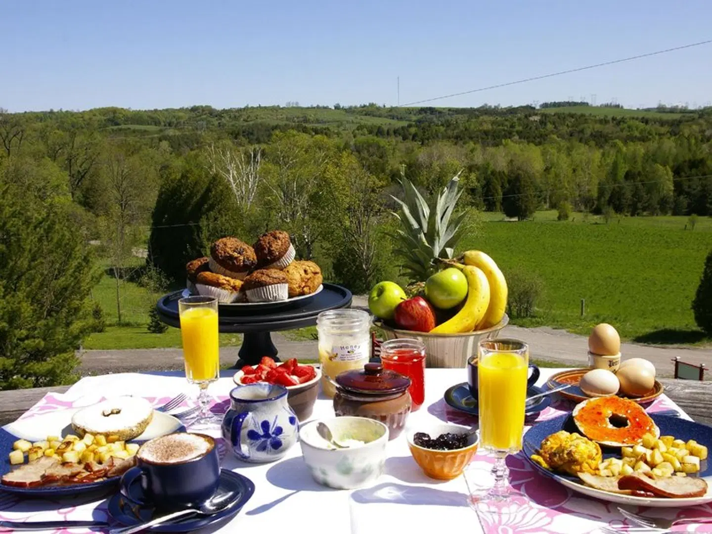 Our Valley View Bed & Breakfast Terrasse