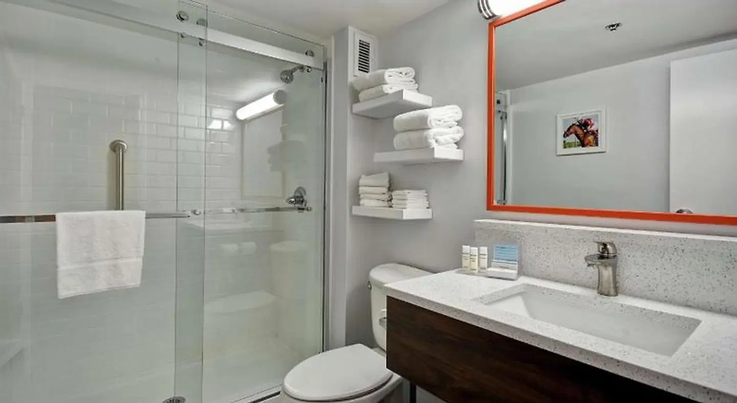 Hampton Inn Lexington I-75 Badezimmer