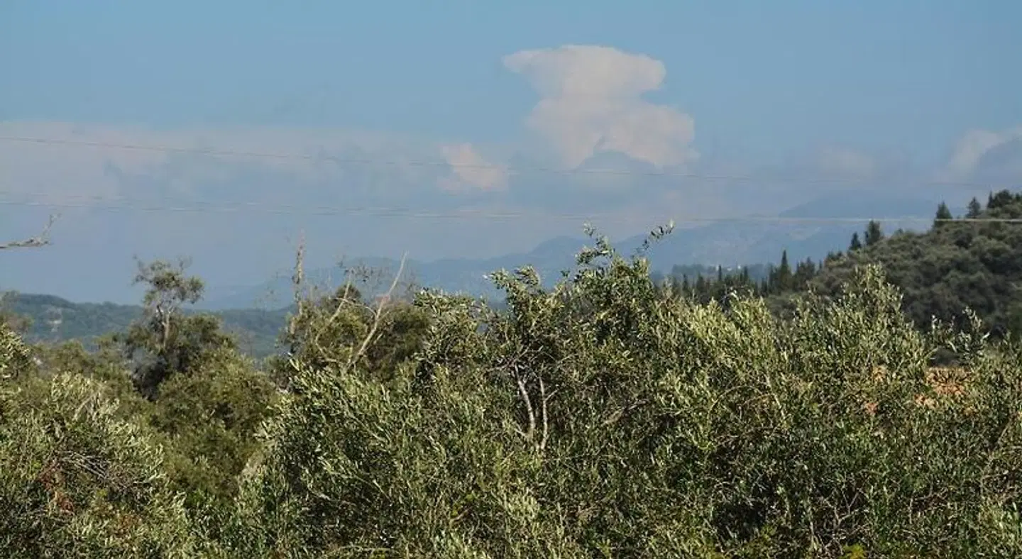 Elena LANDSCAPE
