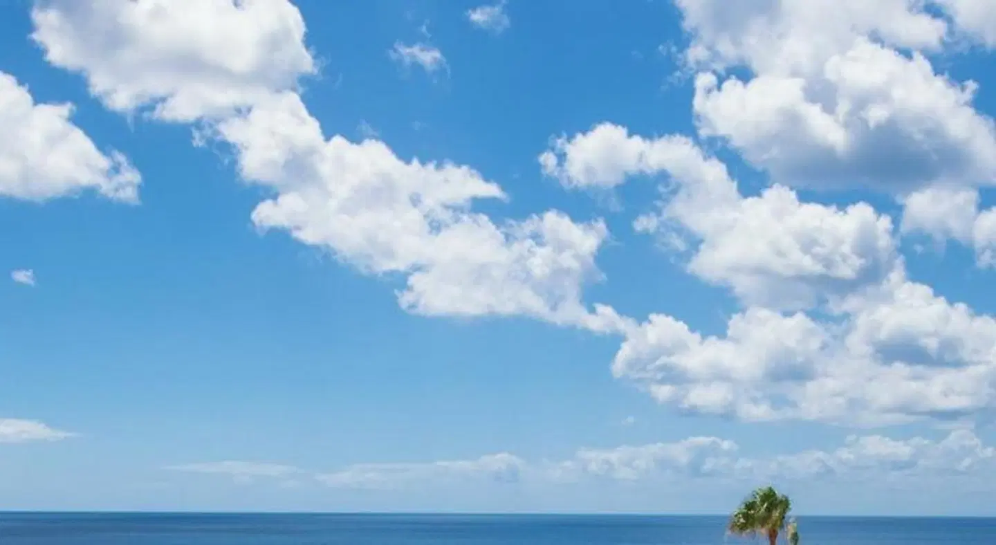 Apartamentos Playamar LANDSCAPE