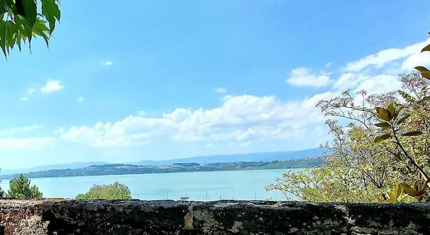 Murtenhof & Krone LANDSCAPE