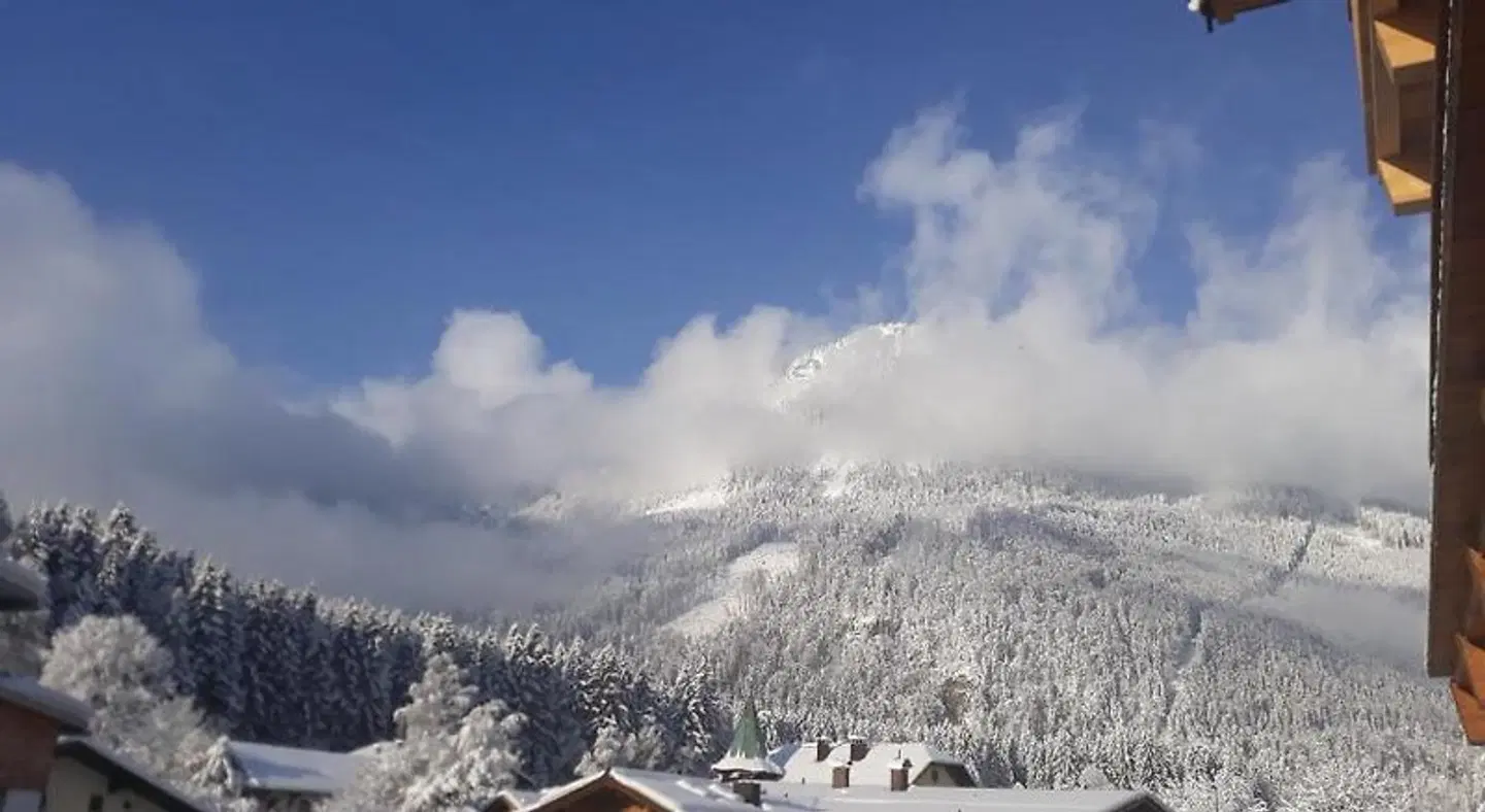 Hotel Jagdhof LANDSCAPE