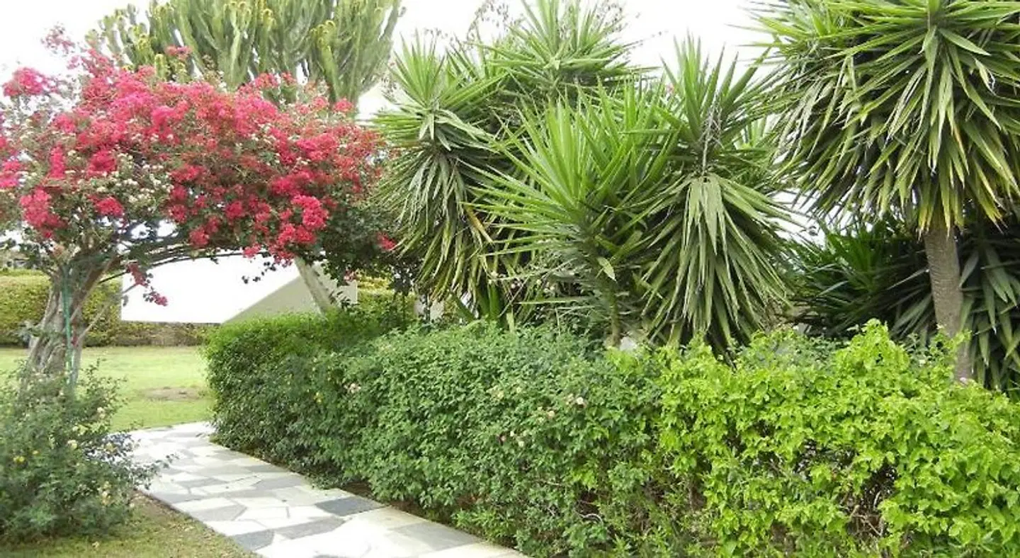 Tsialis Hotel Apartments Garten