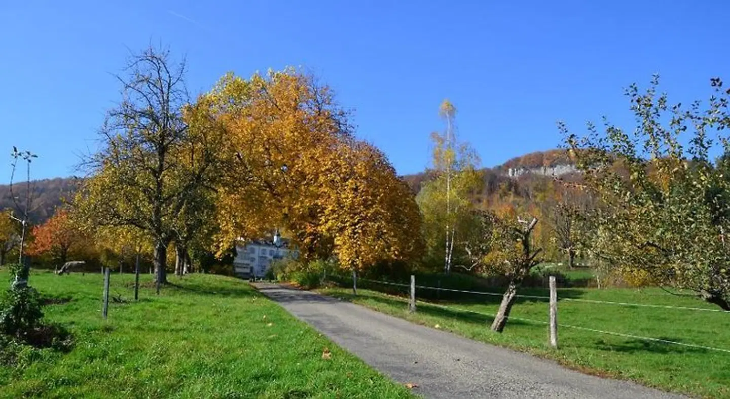 Bad Schauenburg Garten