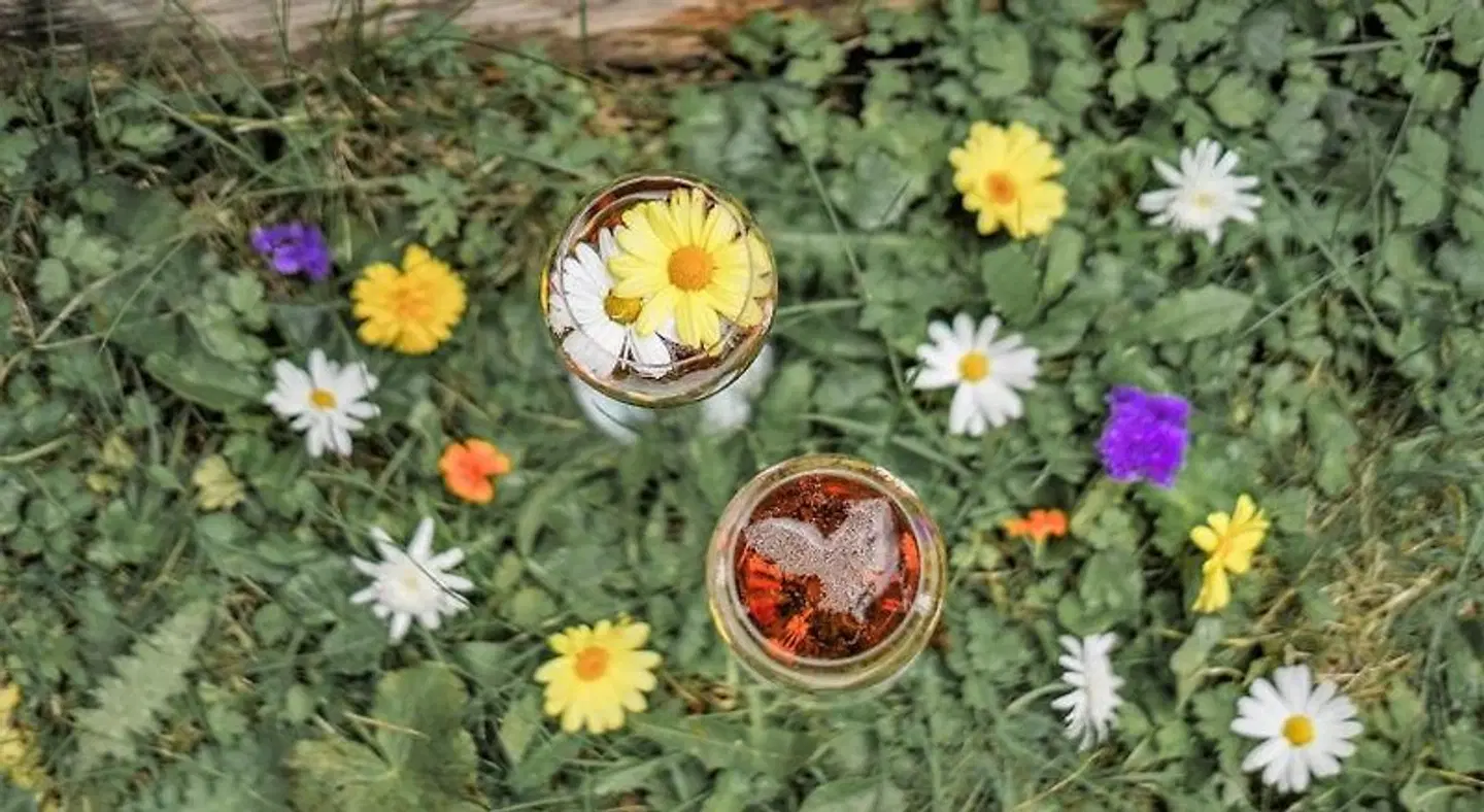 Hotel Lärchenhof am Katschberg Landkarte