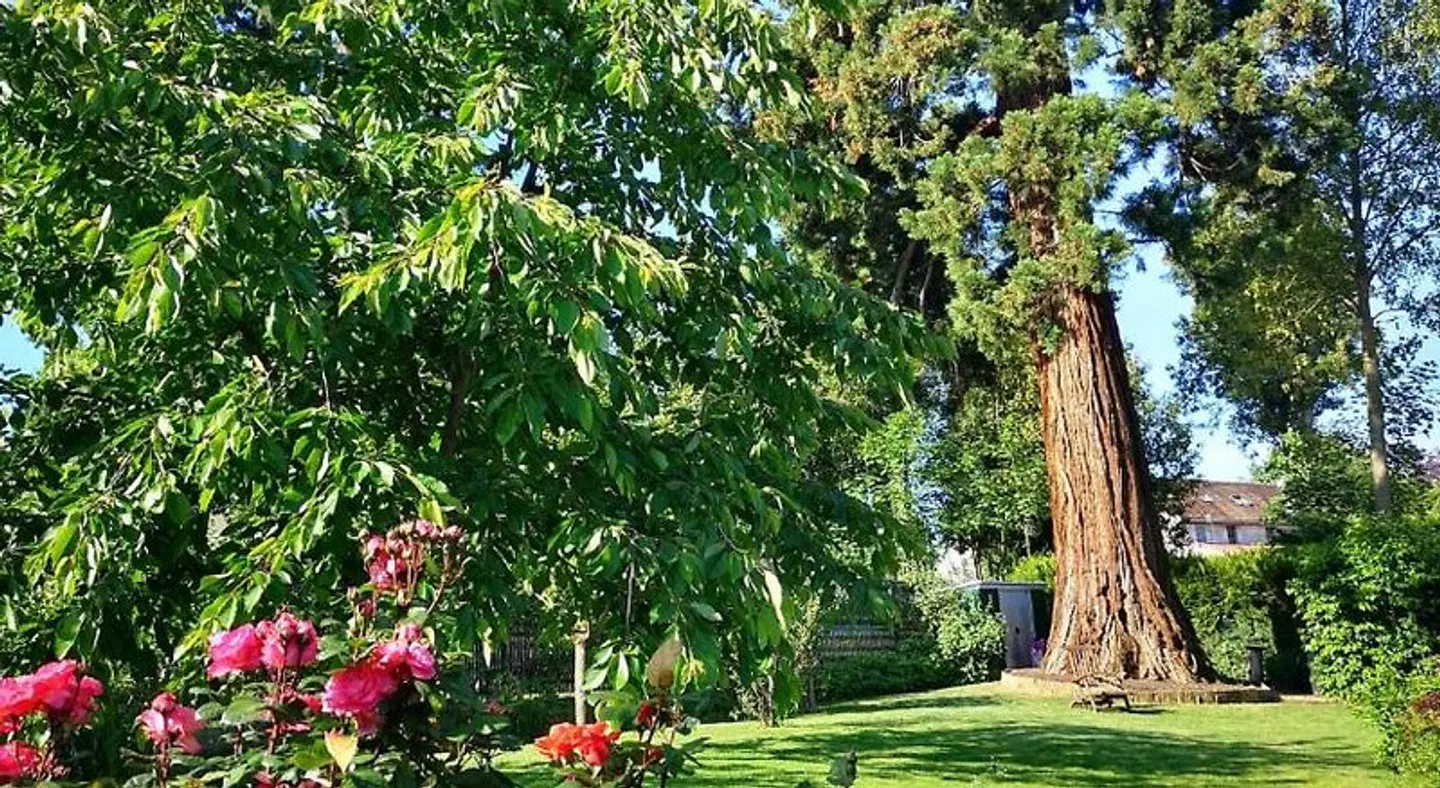 Les Chambres D'oriane Garten