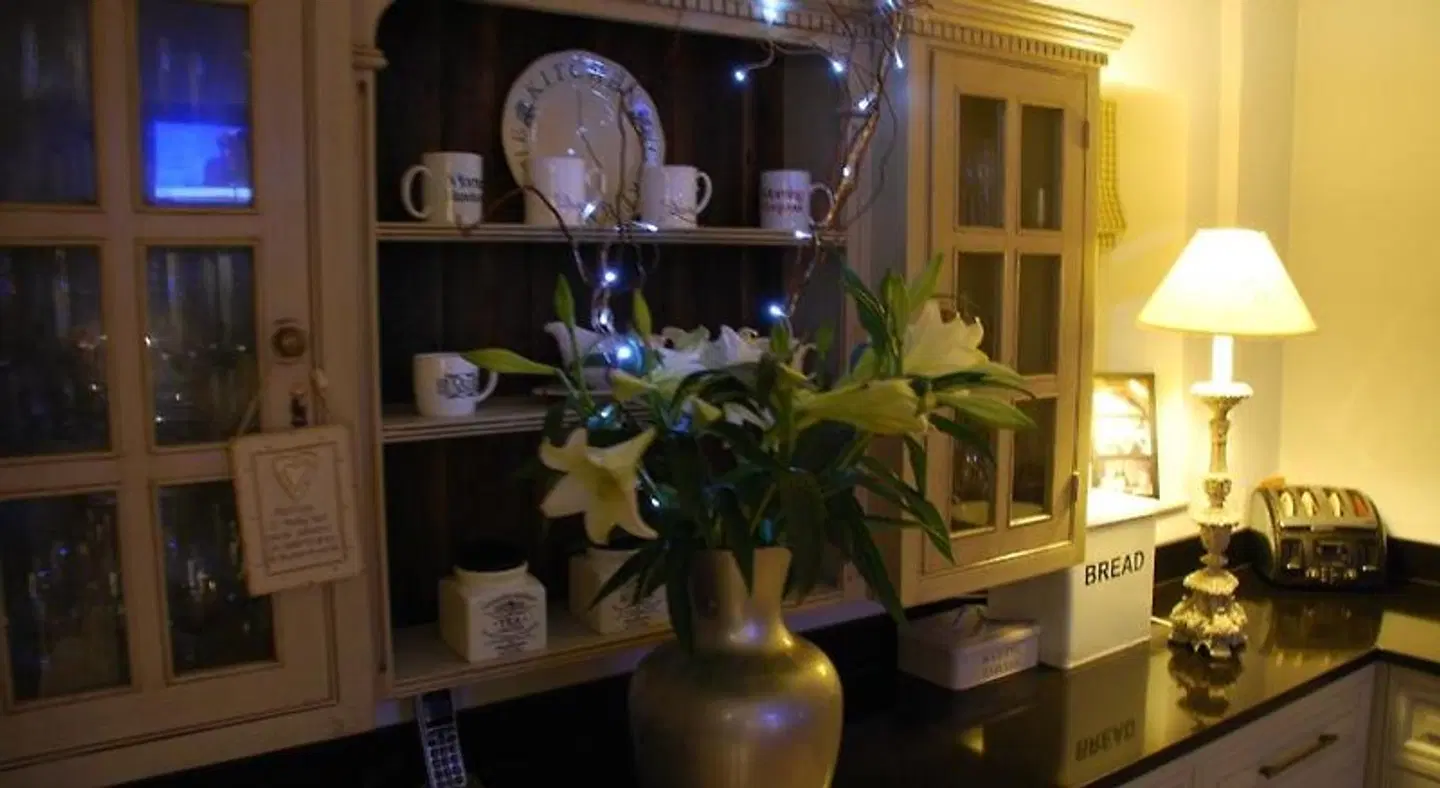 Springdale Guest House Bar