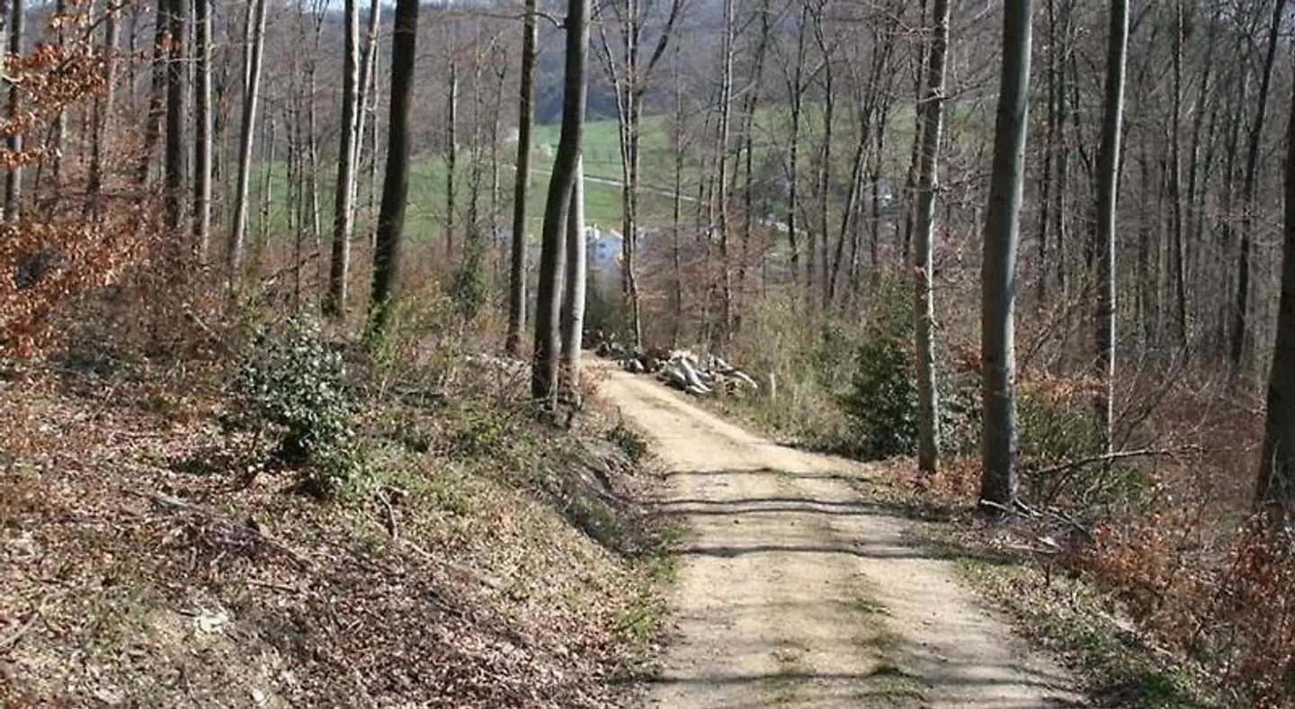 B & B Hersberg LANDSCAPE