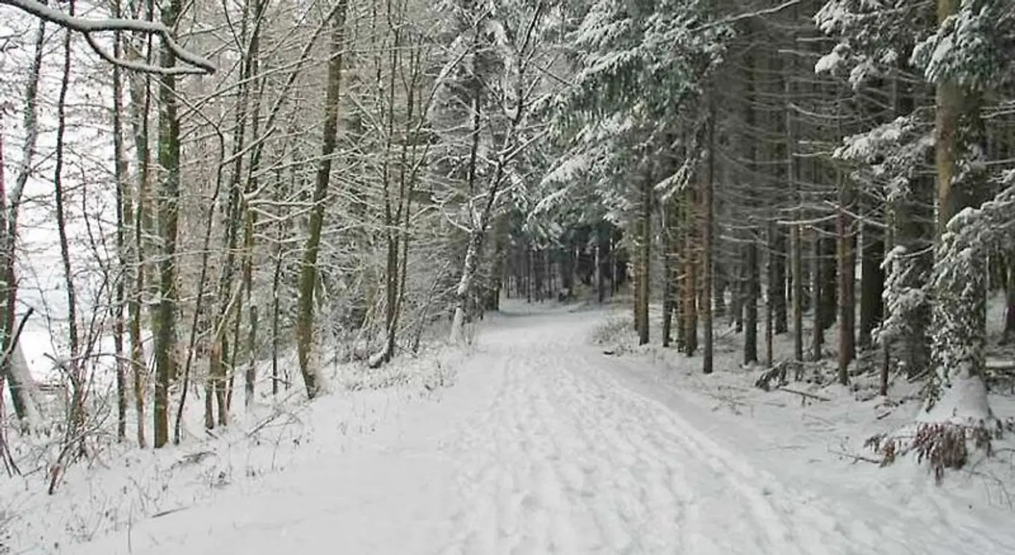 B & B Hersberg LANDSCAPE