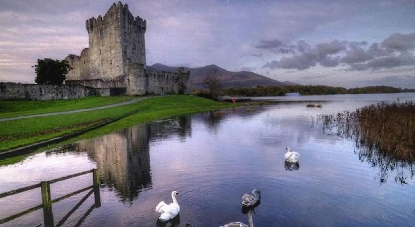 Kathleens Country Pool