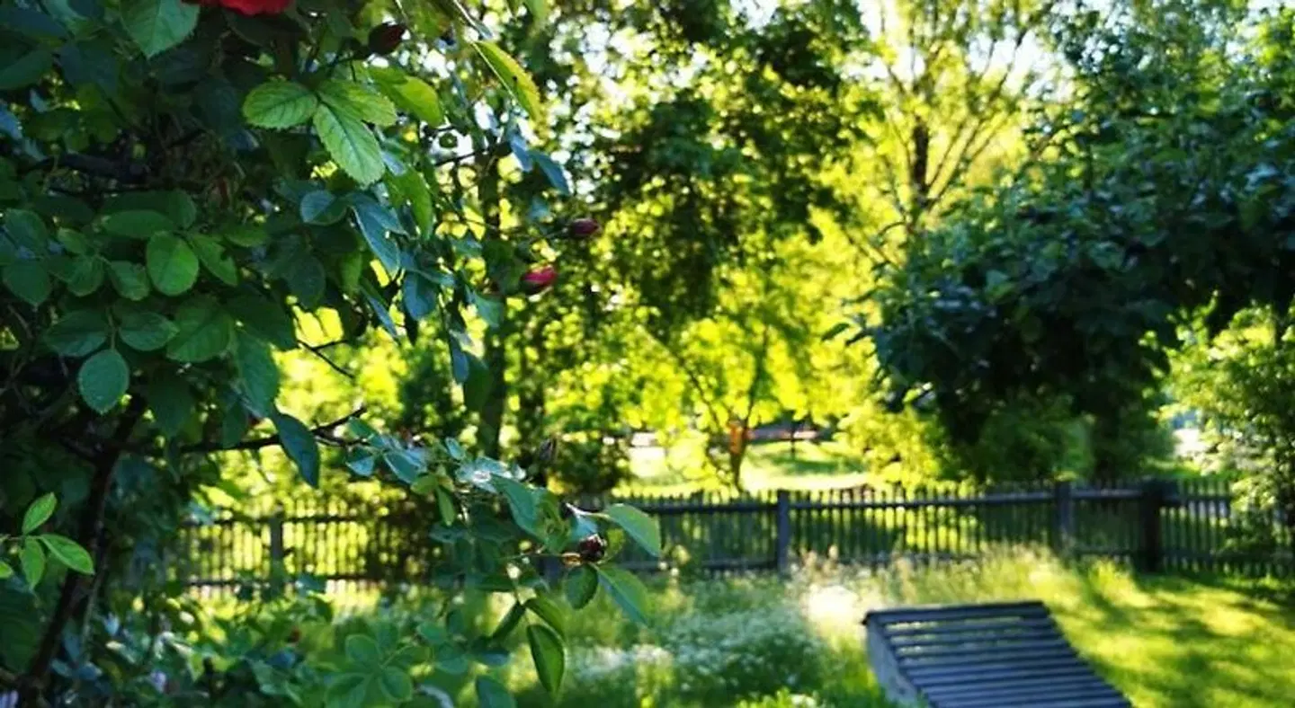 Neu Garten