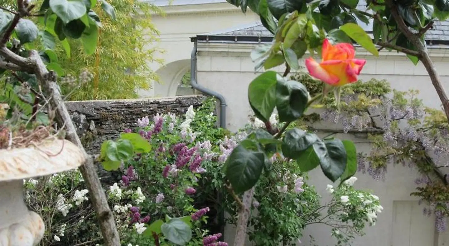 Chambre d'Hôte Marchand Garten