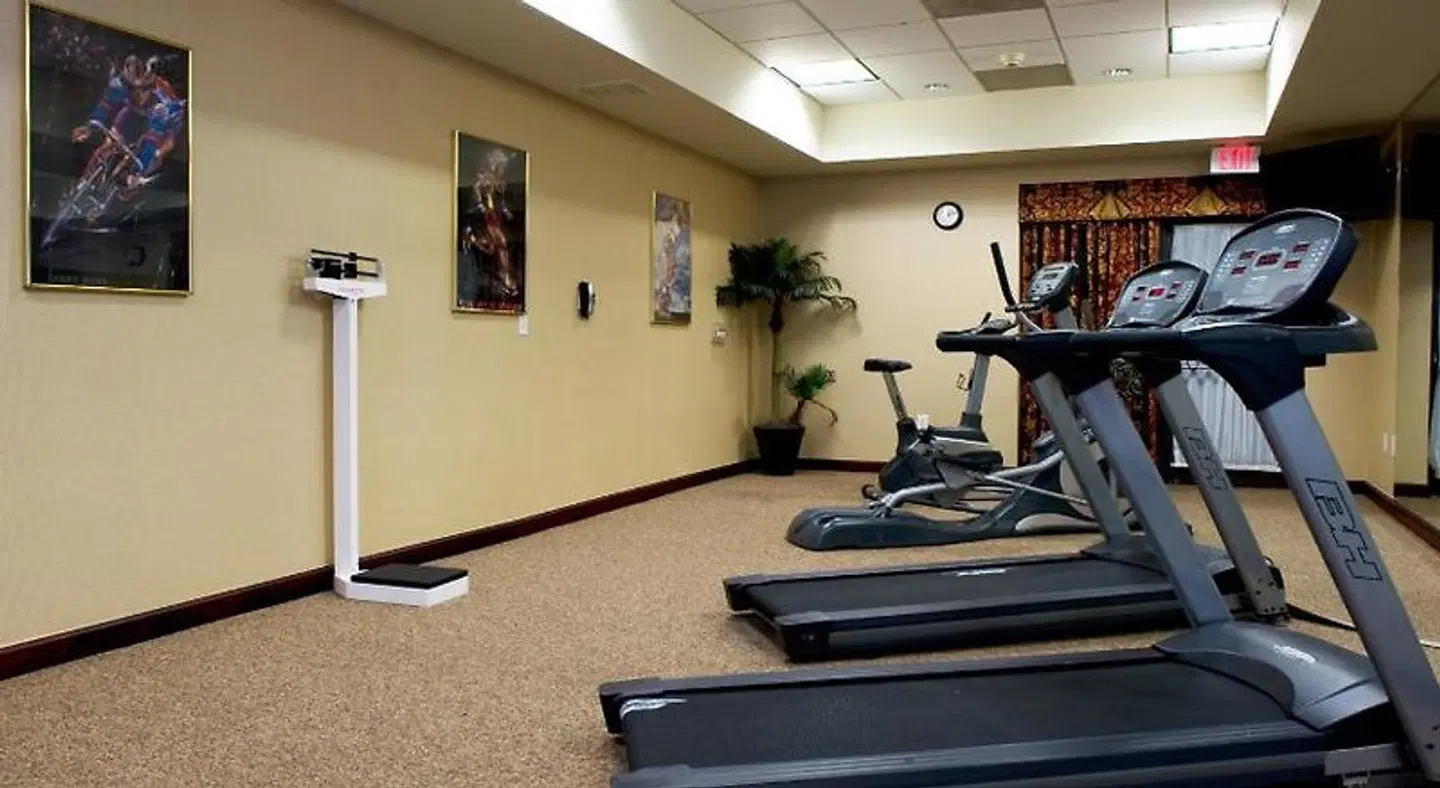 Holiday Inn Express & Suites Dallas Ft. Worth Airport South by IHG SPORTS_AND_LEISURE