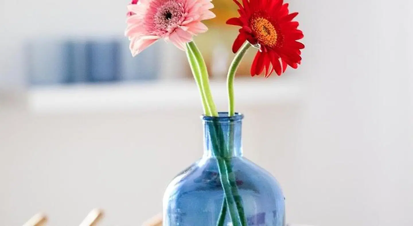 Doneduà LOUNGE_LOBBY