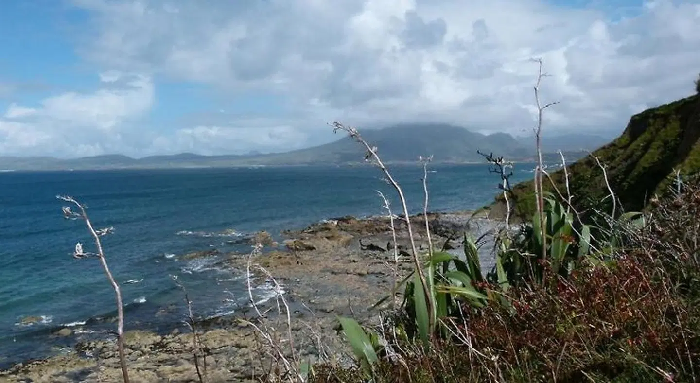 Ocean Lodge B&B LANDSCAPE