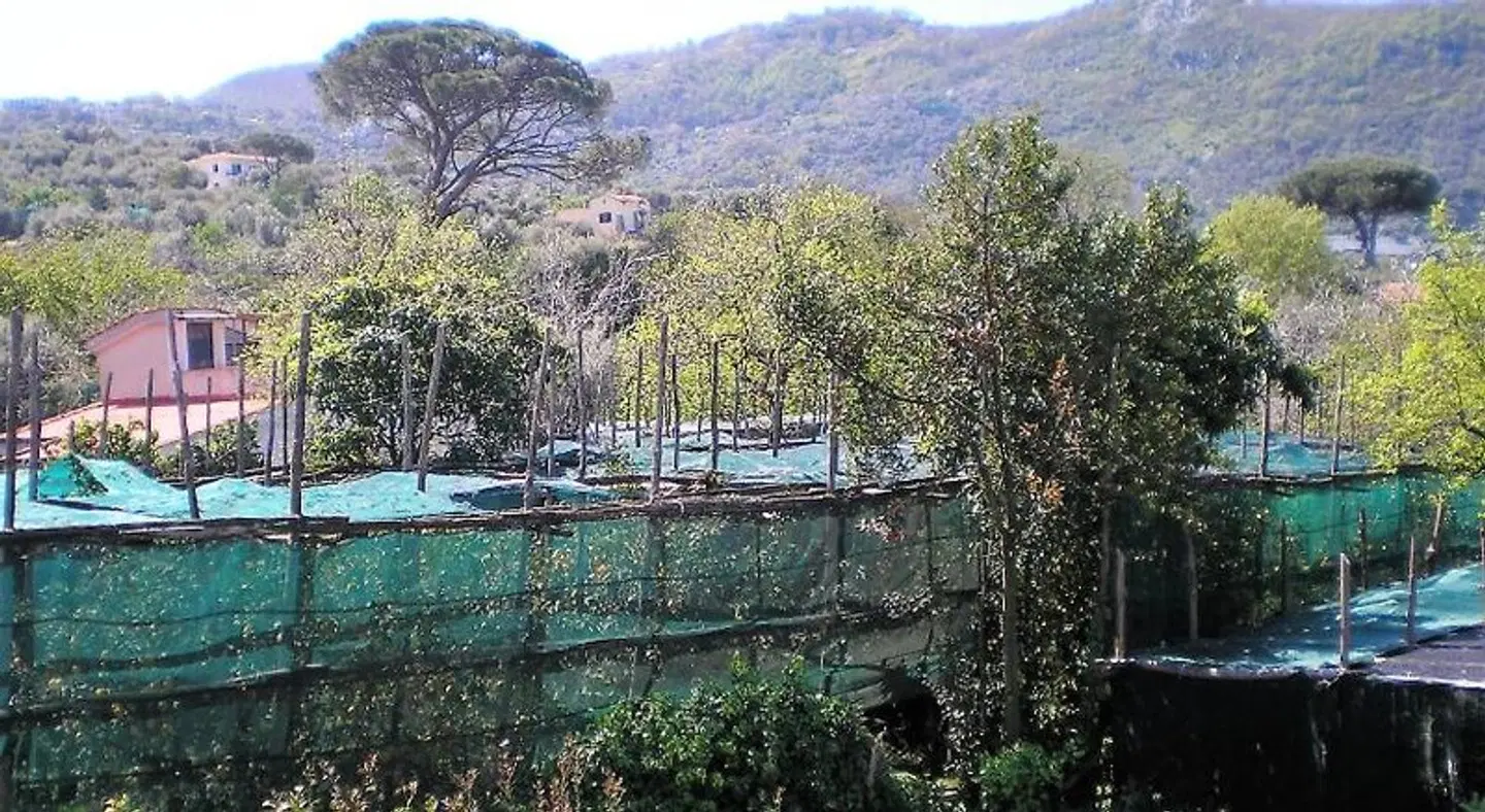 Itaca b&b LANDSCAPE