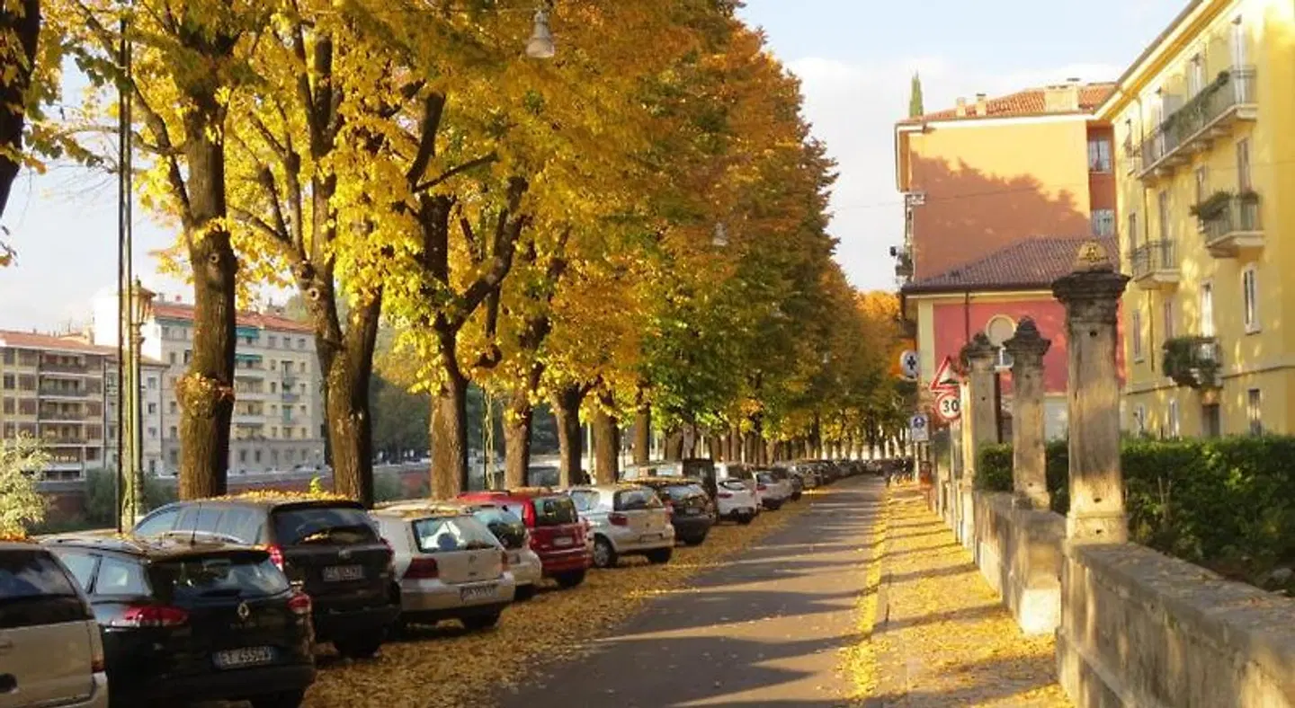 Casa Panvinio Garten