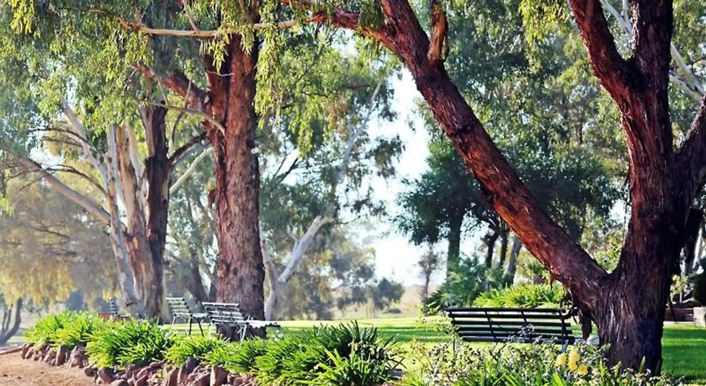 Outback Cellar & Country Cottage LANDSCAPE