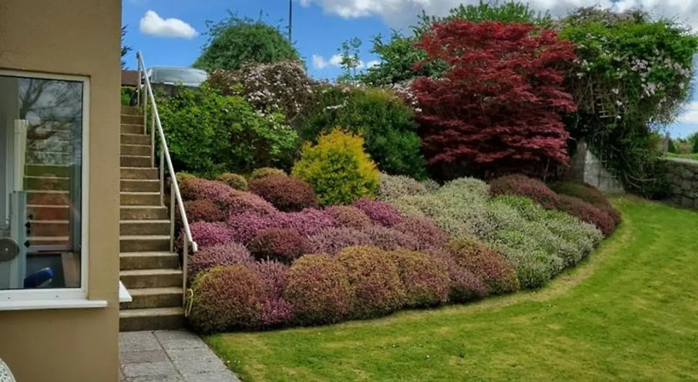 Ardilaun Guesthouse Terrasse