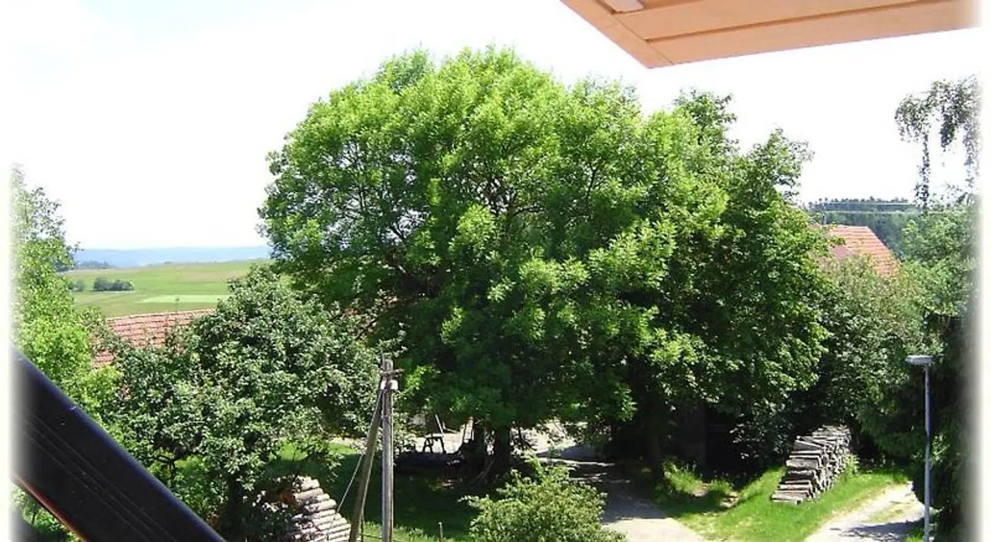 Hotel Gasthof Traube Garten