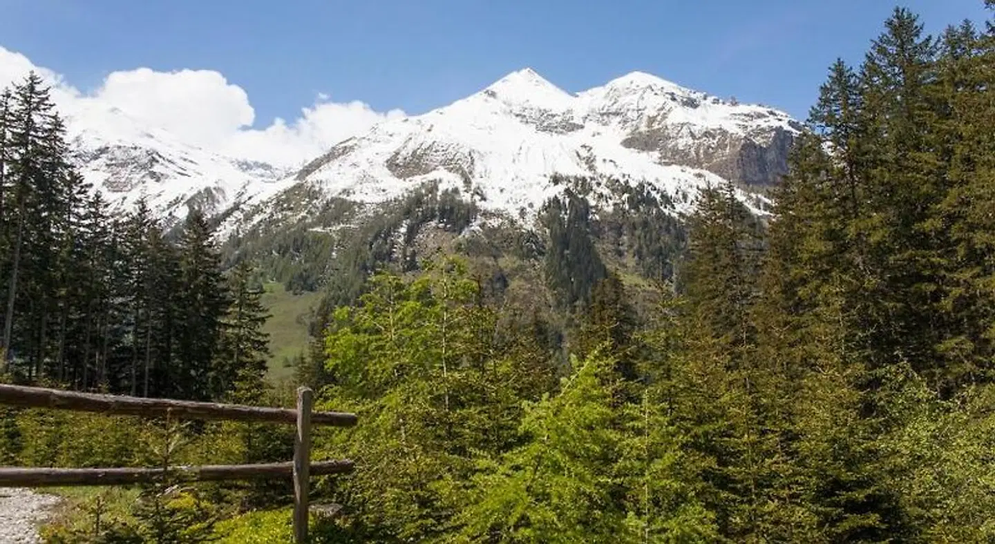 Gasthof Andrelwirt LANDSCAPE