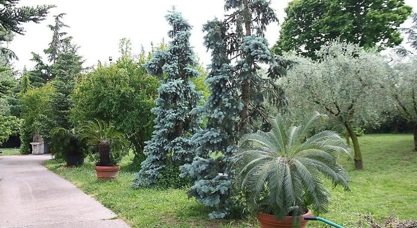 San Giorgio Lazise Garten