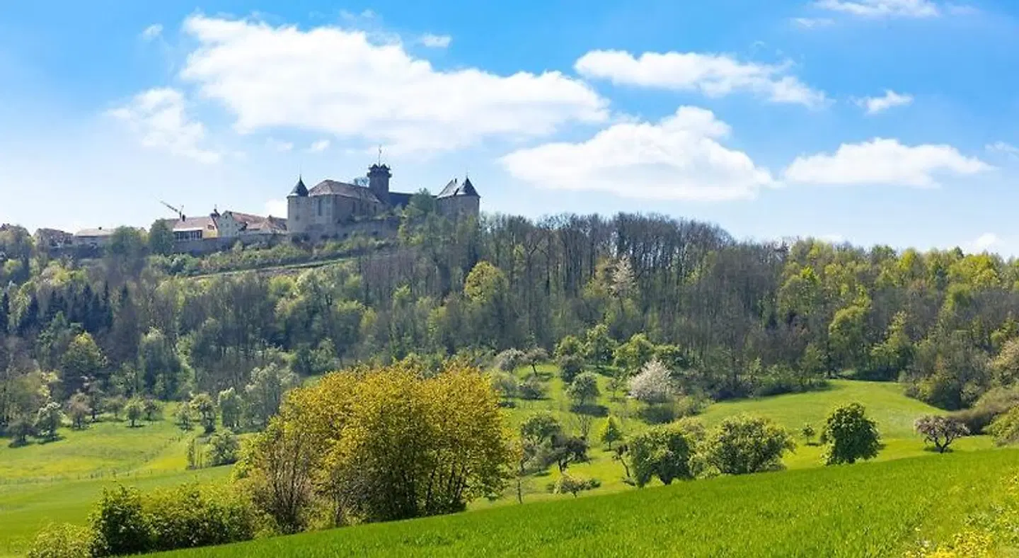 Landhotel Steigenhaus LANDSCAPE