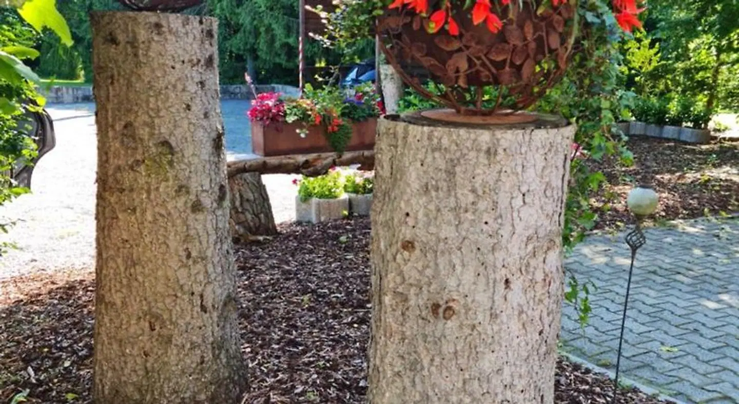 Hotel Landgasthof Fromm Terrasse