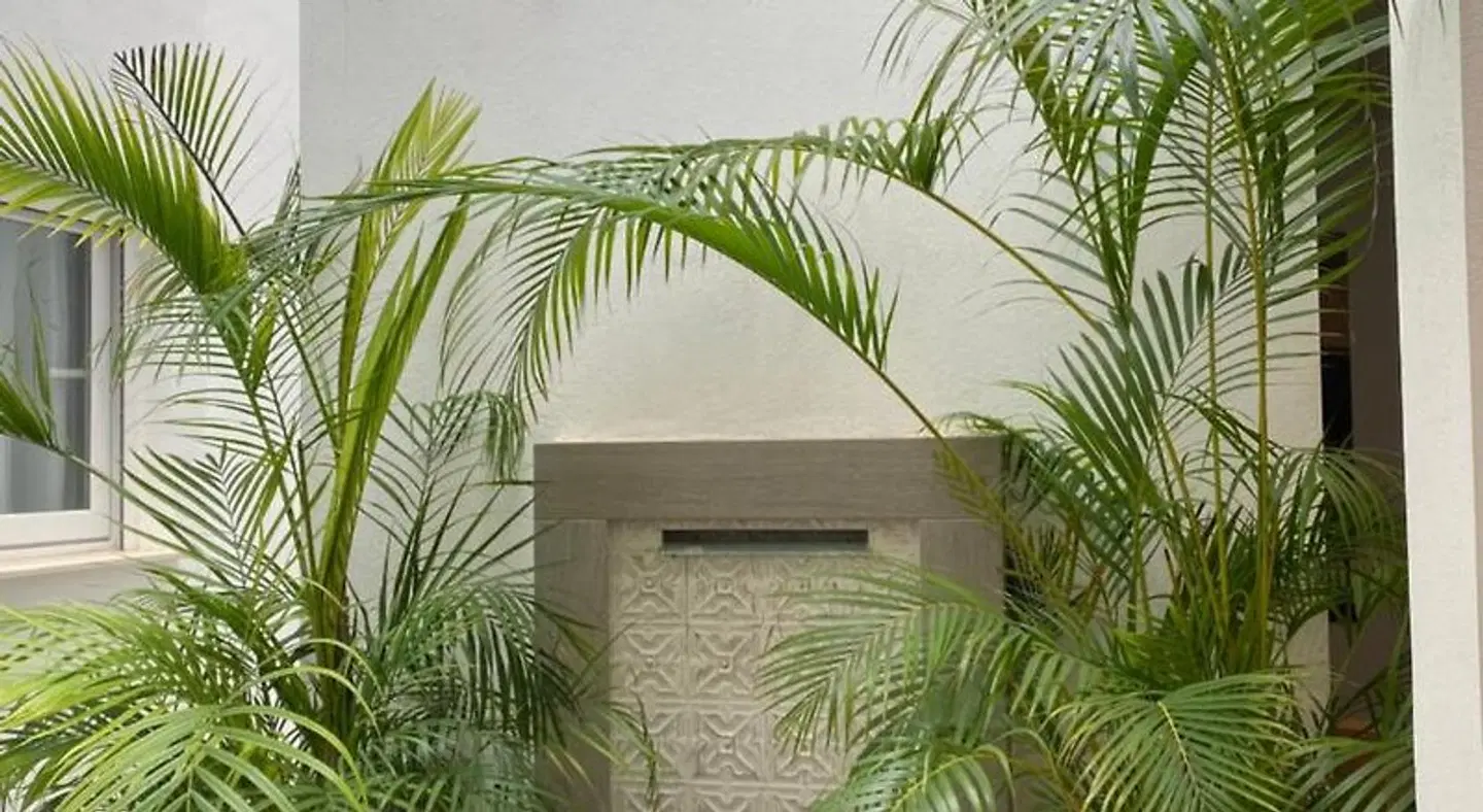 Hostal Alisol Boutique Marbella OUTDOOR_POOL