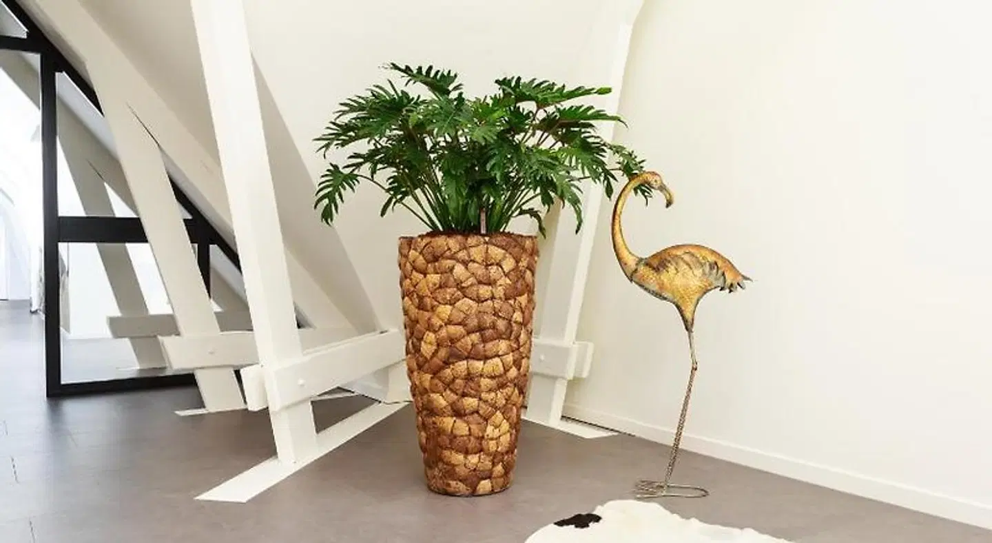 B&B Landgoed De Grote Beek LOUNGE_LOBBY