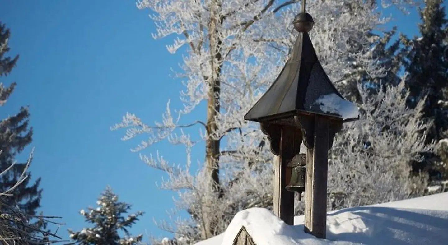Ruhehotel & Naturressort Rehbach - Adults only Tiere