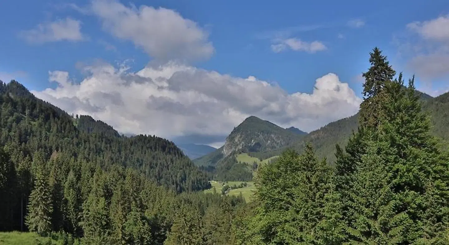 Ruhehotel & Naturressort Rehbach - Adults only LANDSCAPE