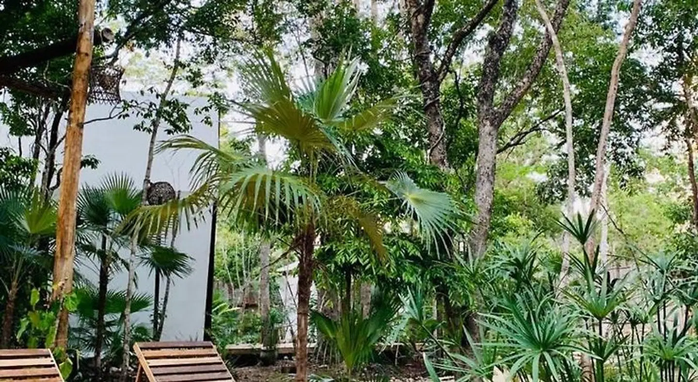 Nahouse Jungle Lodges Garten