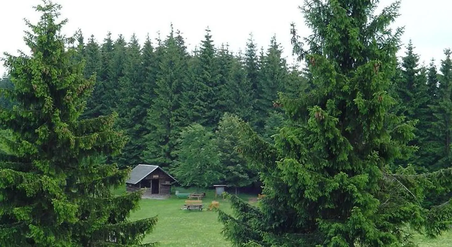 Apartments Zum Glasmacher Garten