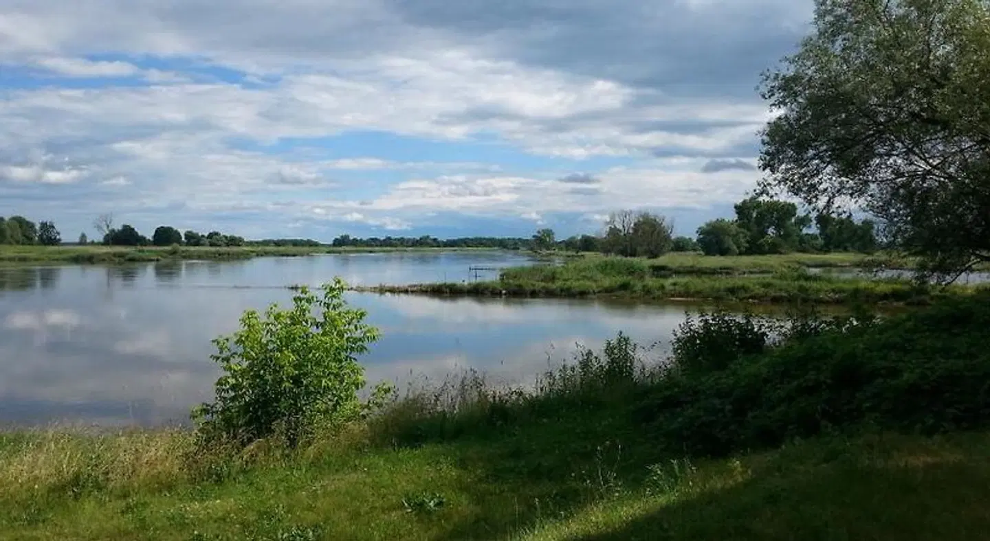 Pension Gräfliche Villa LANDSCAPE