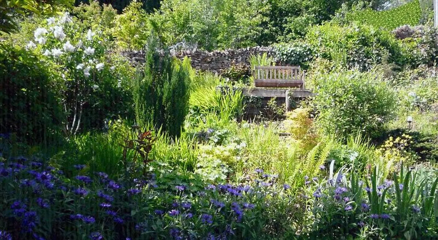 The Great Grubb Bed & Breakfast LANDSCAPE