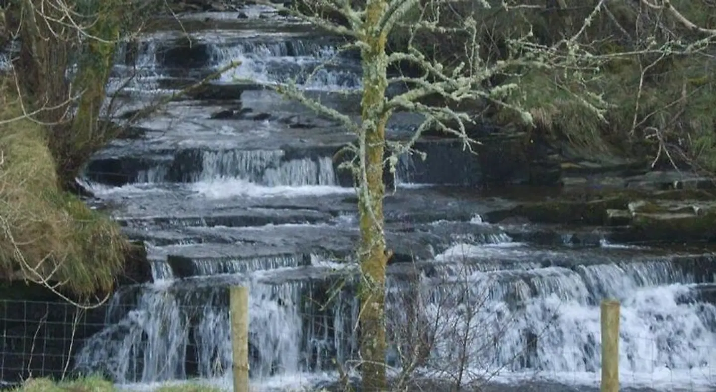 The Benwiskin Centre LANDSCAPE